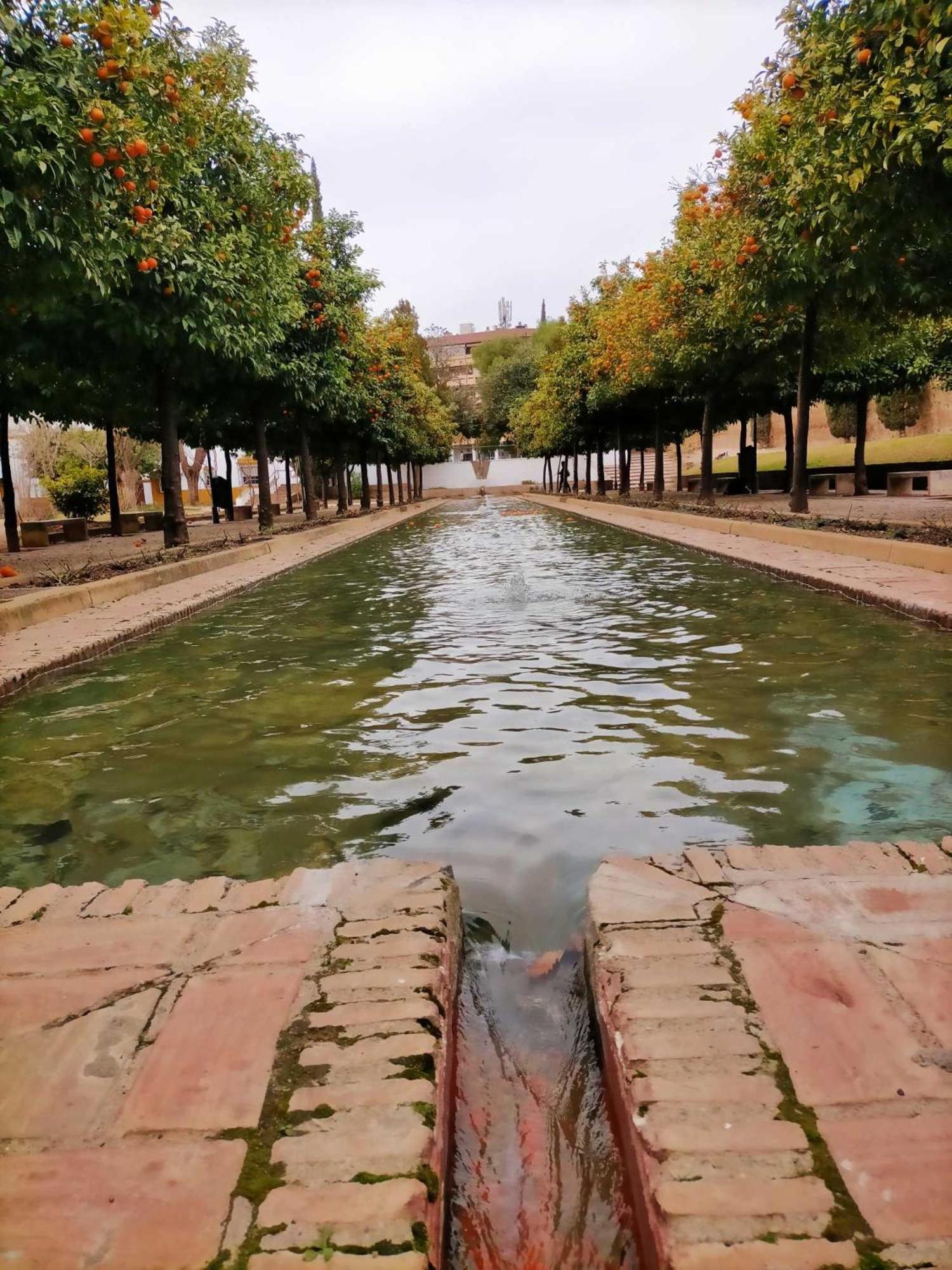 Nieves Viejas Los Patios Córdoba Exteriér fotografie