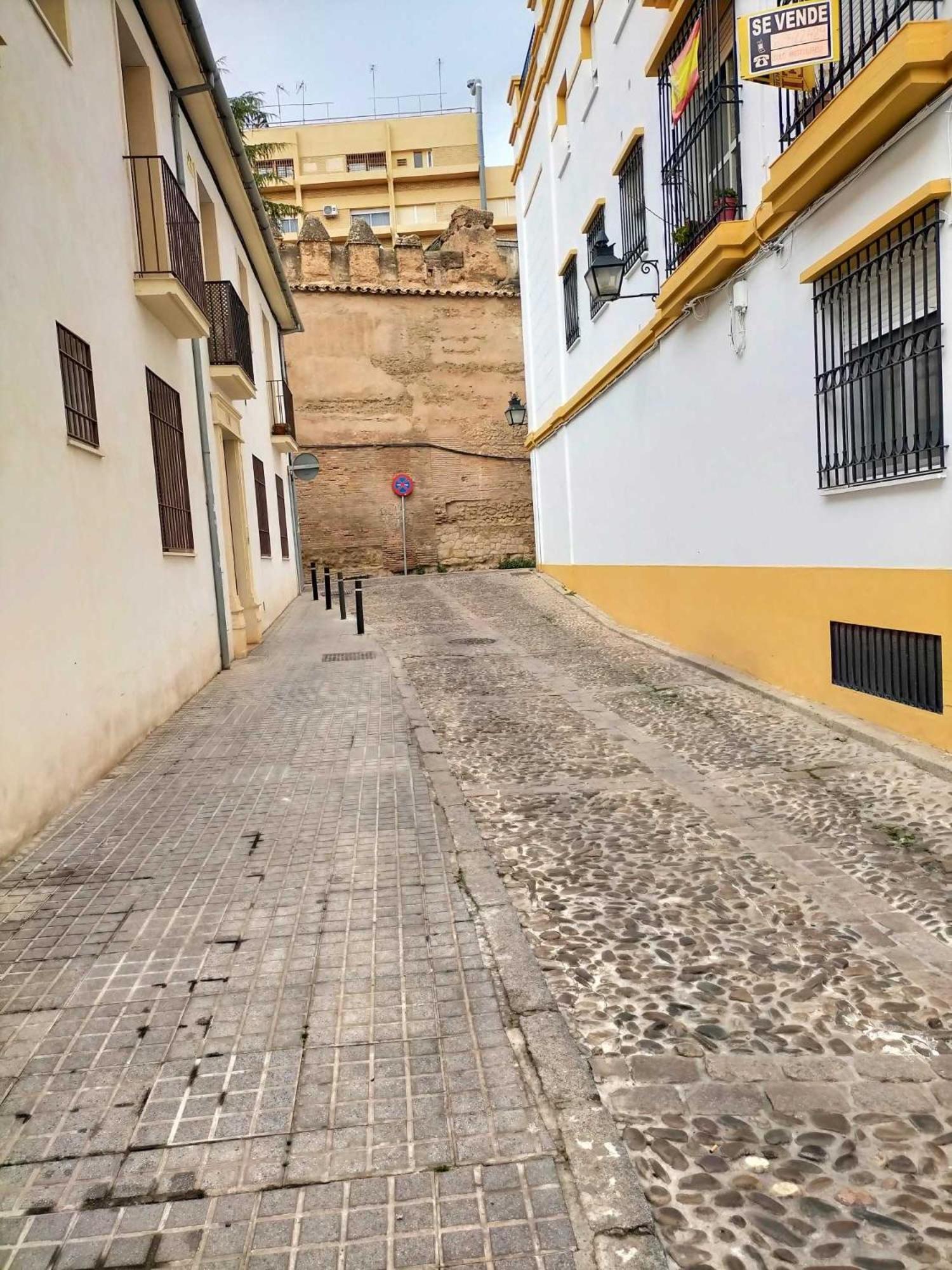 Nieves Viejas Los Patios Córdoba Exteriér fotografie